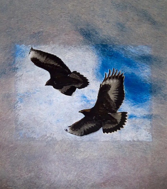 Aigles (plafond au-dessus de l'escalier d'entrée), Bruno Liljefors