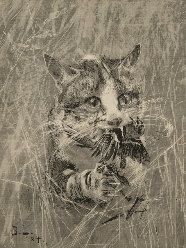 Gato con un pinzón, Bruno Liljefors