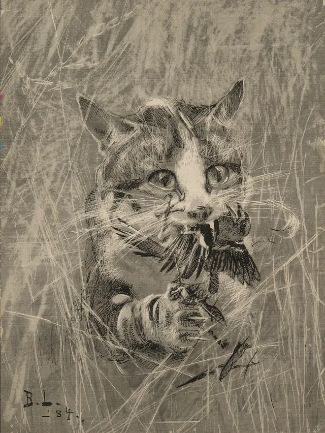 アトリを捕らえた猫