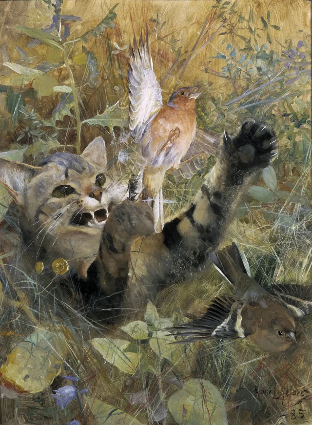 Gato y pinzón. Uno de los cinco estudios de animales en un mismo marco, Bruno Liljefors