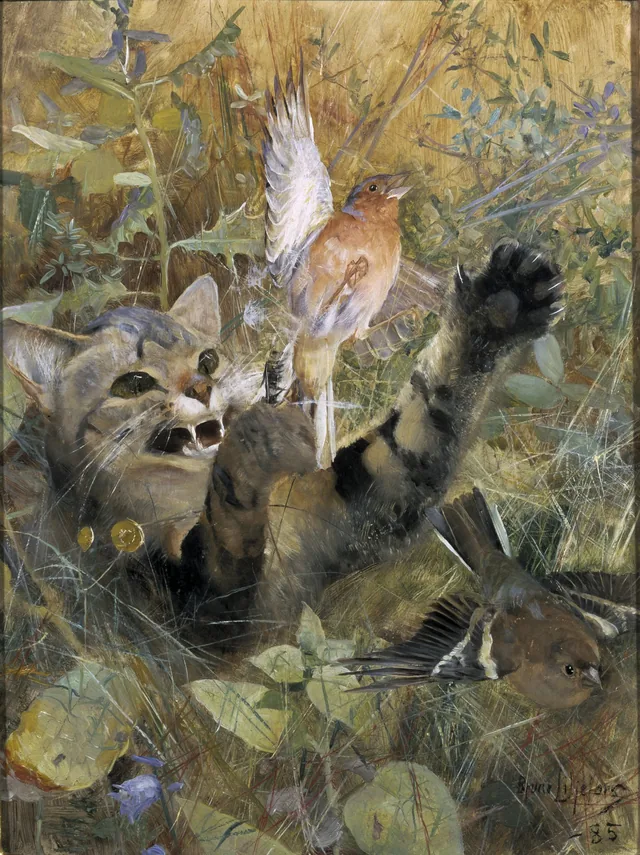 猫とアトリ（一つの額に収めた五つの動物習作のひとつ）