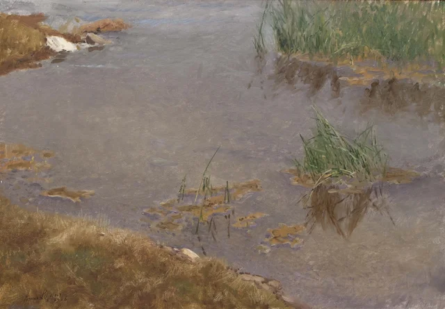 Aguas poco profundas