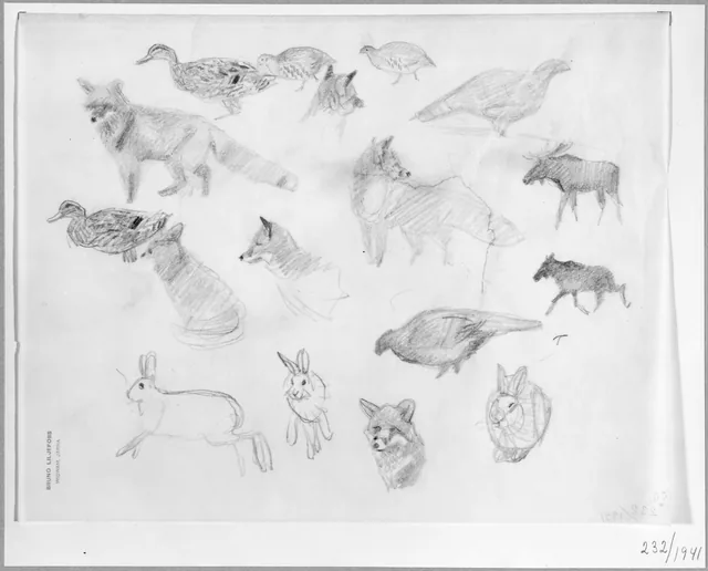 動物と鳥の習作