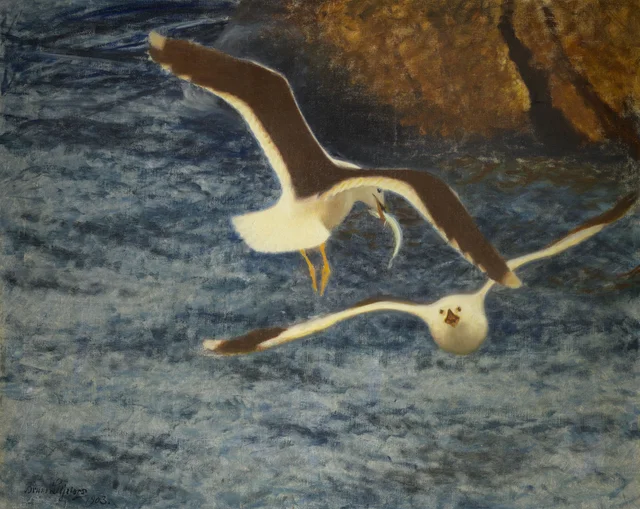 Gaviotas sombrías, en vuelo, Bruno Liljefors