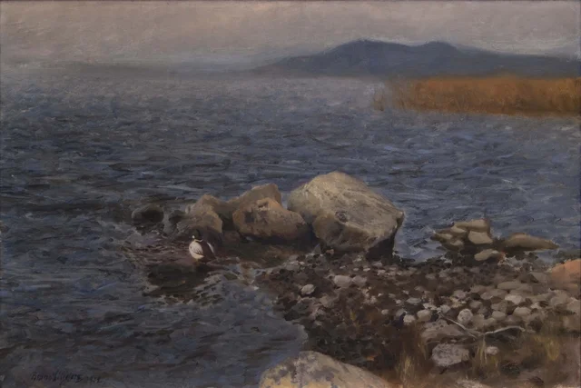 La punta rocosa, Bruno Liljefors