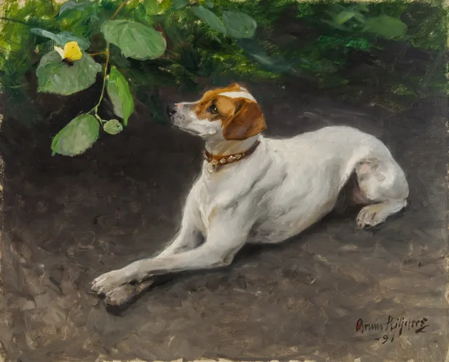 犬の肖像