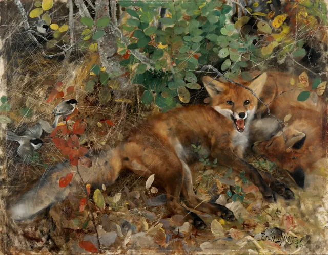 Raposas, Bruno Liljefors