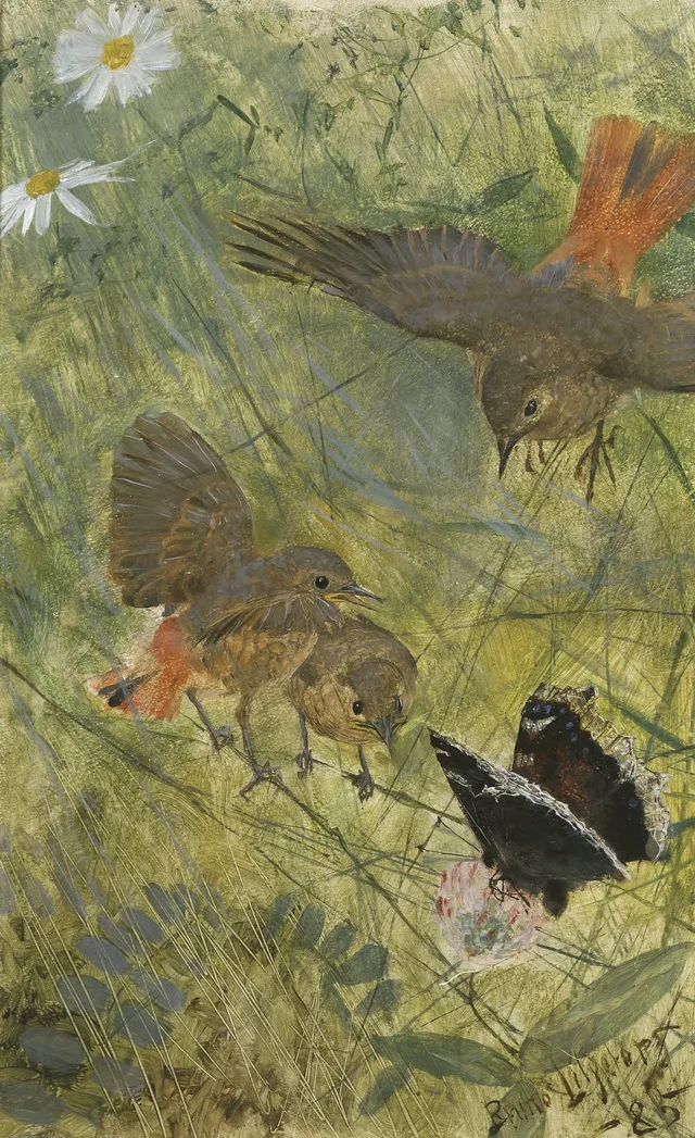 Colirrojos y mariposa. Uno de los cinco estudios de animales en un mismo marco