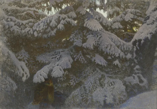 雪をかぶったトウヒの下のワシミミズク