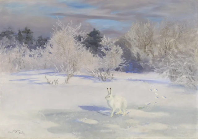 Paisaje invernal con una liebre variable