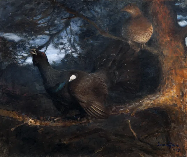 The Mating of the Capercaillies, Bruno Liljefors