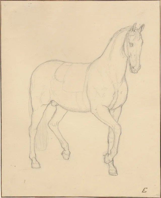 右へ歩む馬