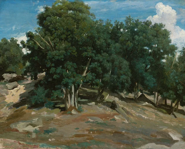 Fontainebleau: robles del Bas-Bréau