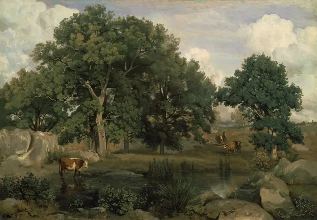 Forêt de Fontainebleau