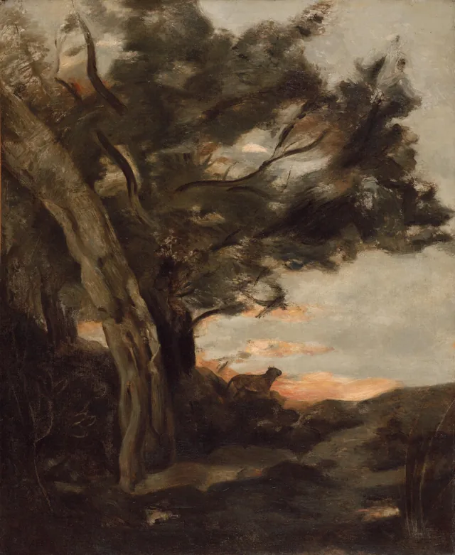Night Landscape with a Lioness