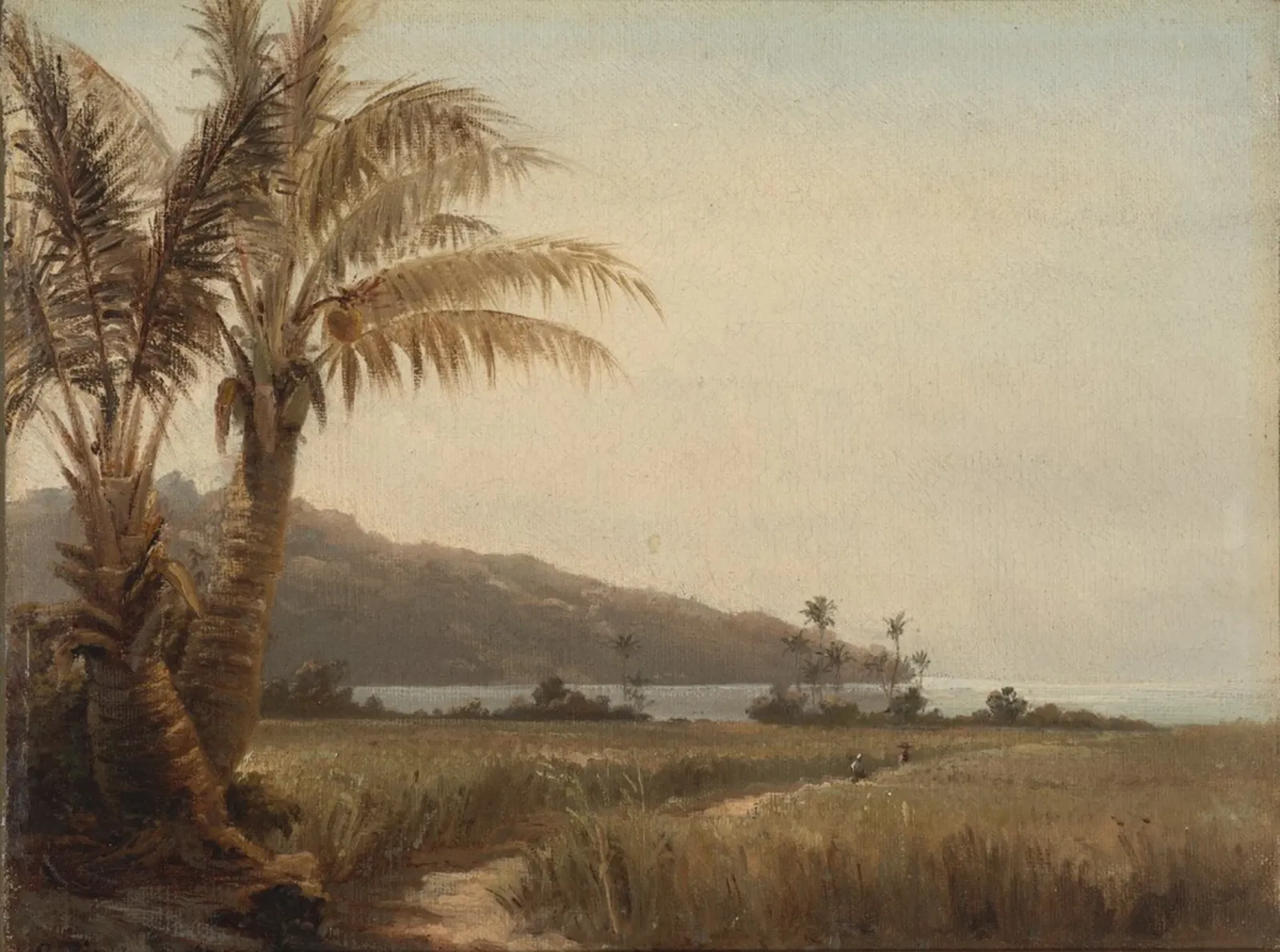 Cocotiers au bord de la mer, Camille Pissarro