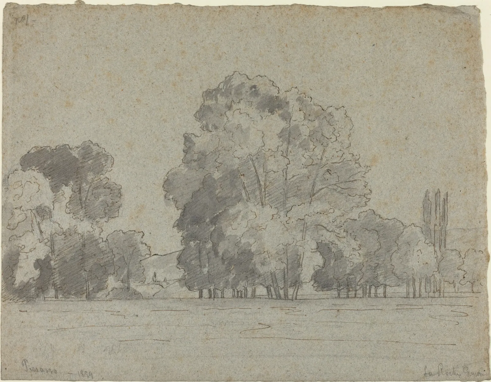 Grove of Trees, Camille Pissarro