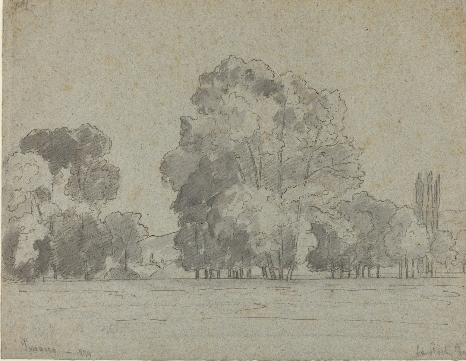 Grove of Trees, Camille Pissarro