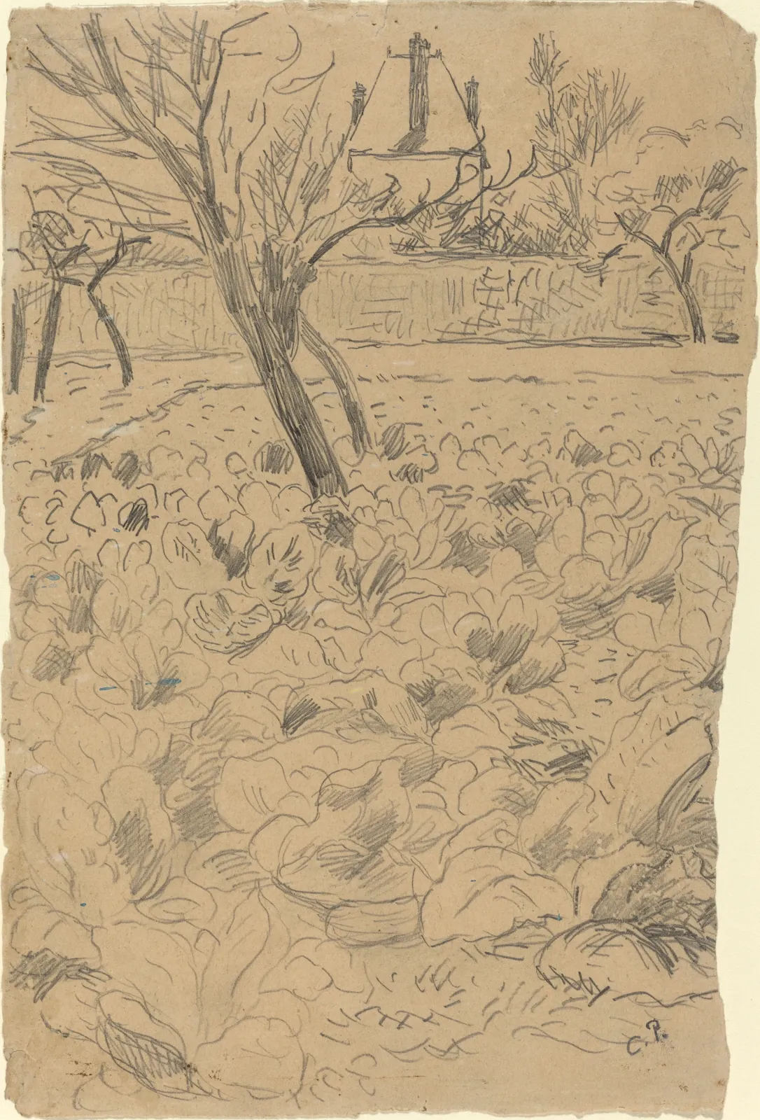 Le champ de choux, Camille Pissarro