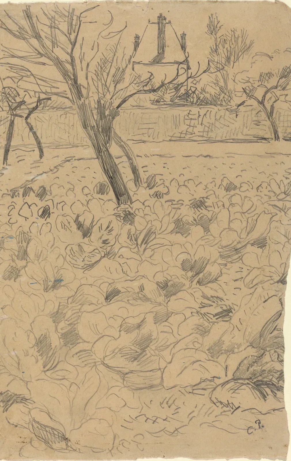 Le champ de choux, Camille Pissarro