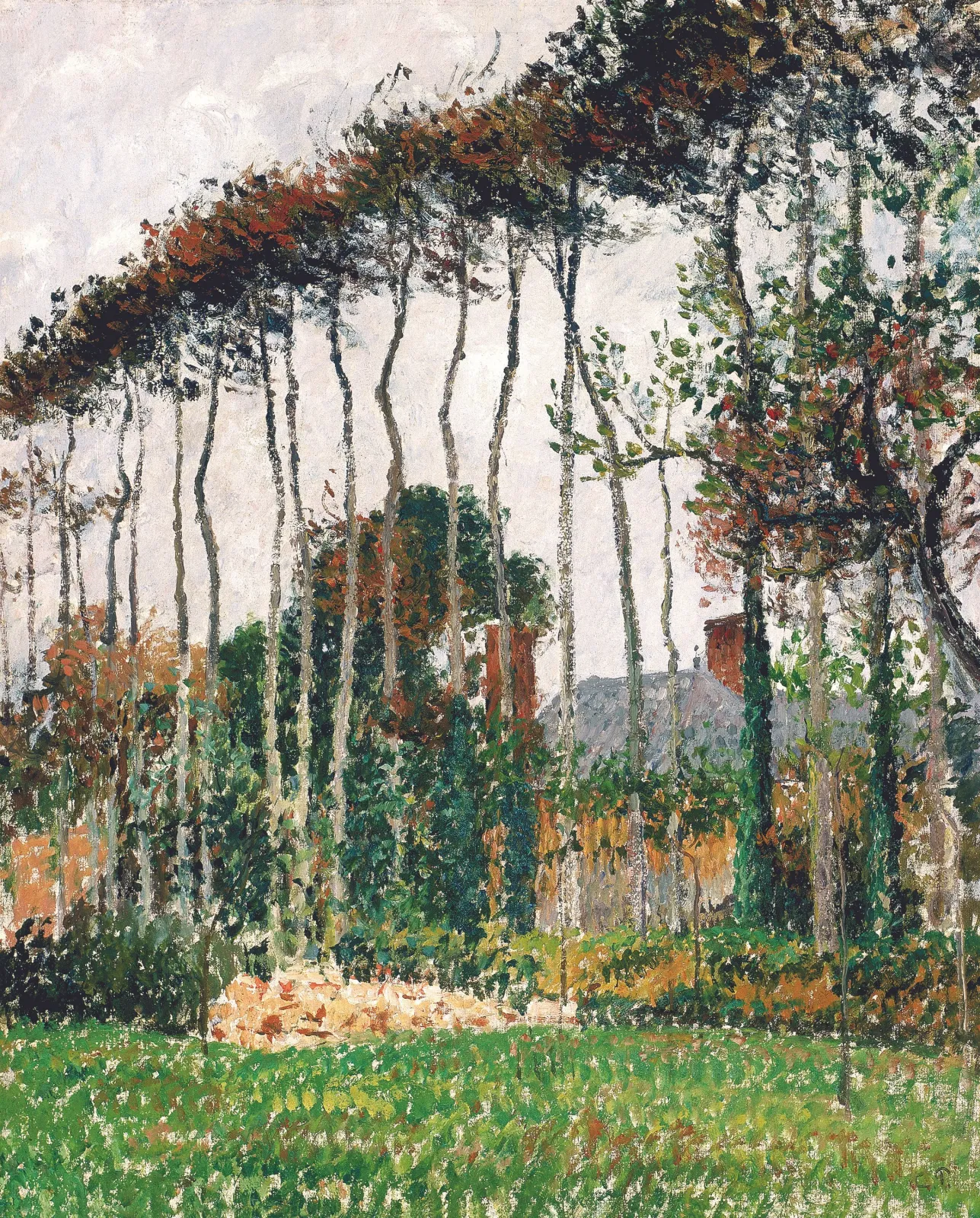 Les grands hêtres à Varengeville, Camille Pissarro