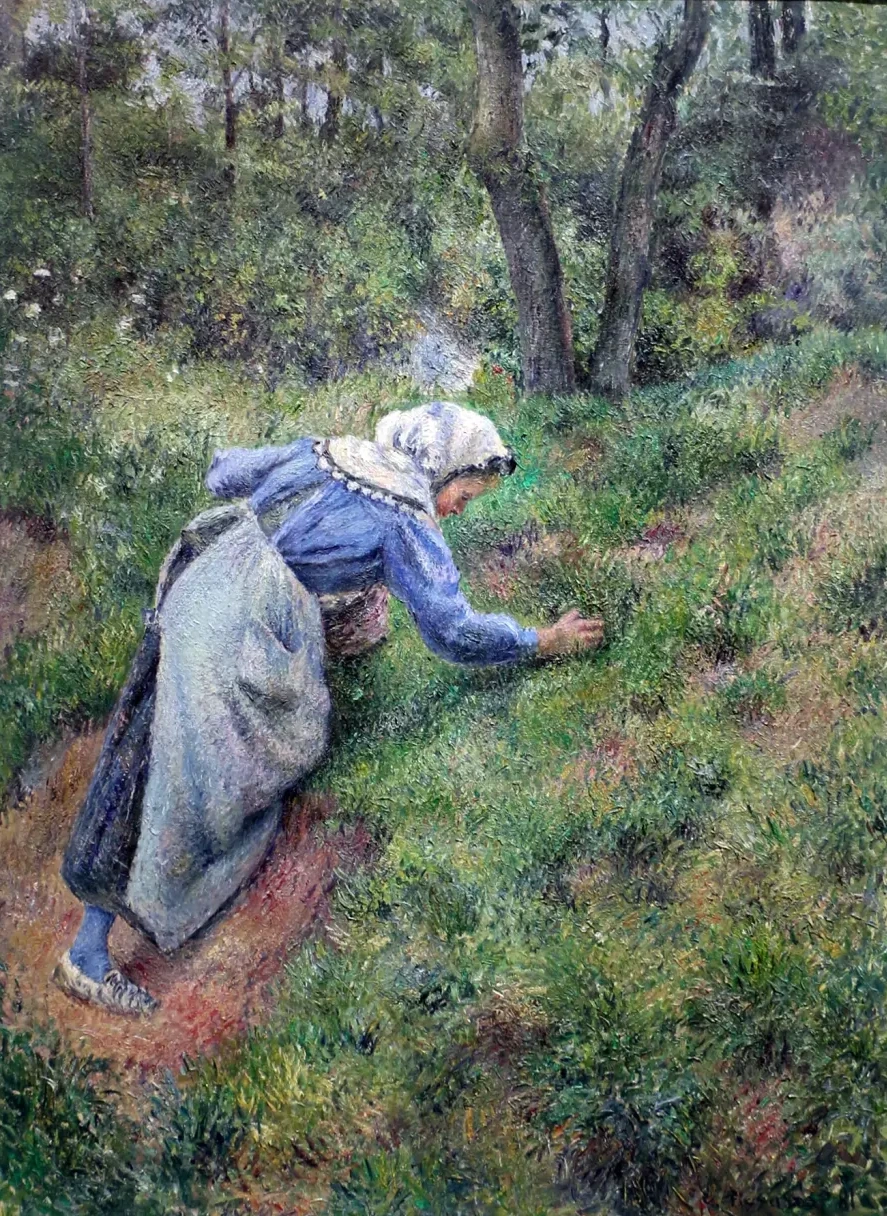 Paysanne ramassant de l'herbe, Camille Pissarro