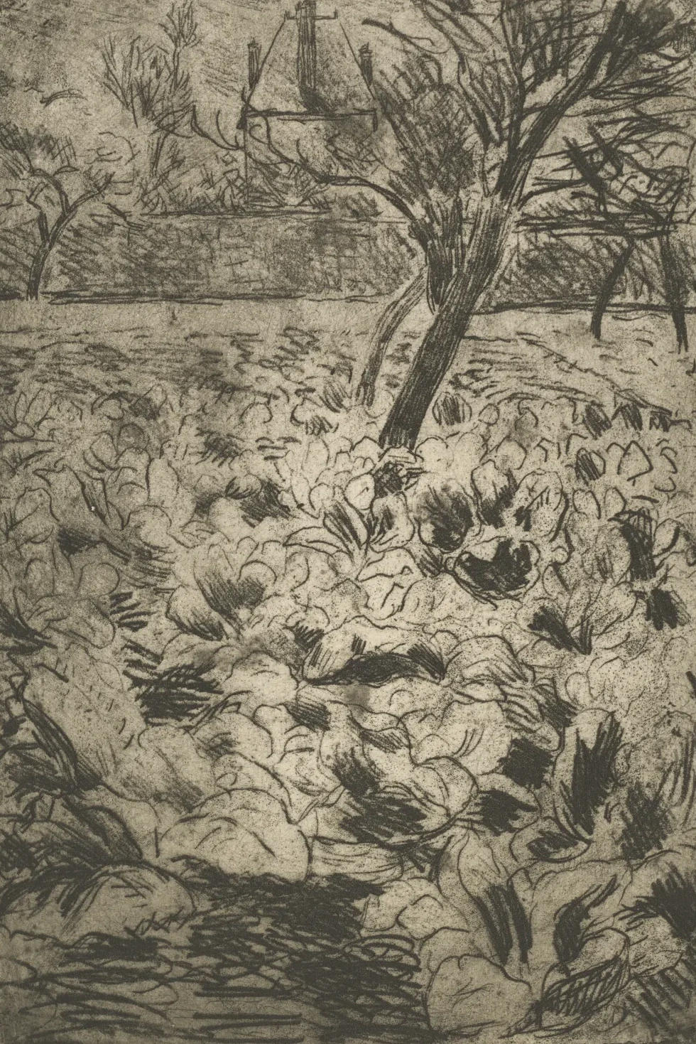The Cabbage Field (Le champ de choux), Camille Pissarro