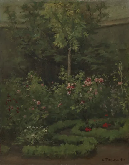 A Rose Garden