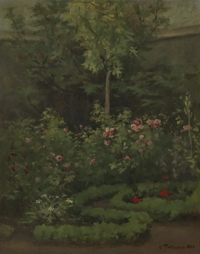 Un rosal