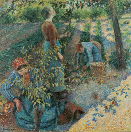 Apple-Picking