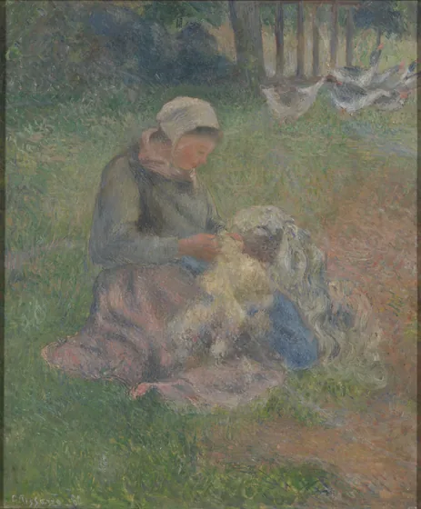 Cardeuse de laine