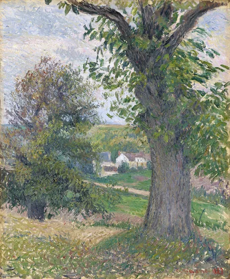 Châtaigniers à Osny