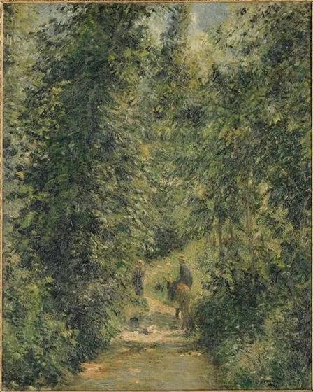 Chemin sous bois, en été