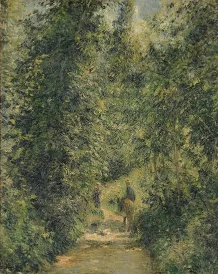 Chemin sous bois, en été