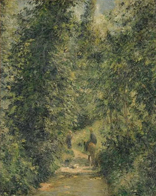Chemin sous bois, en été