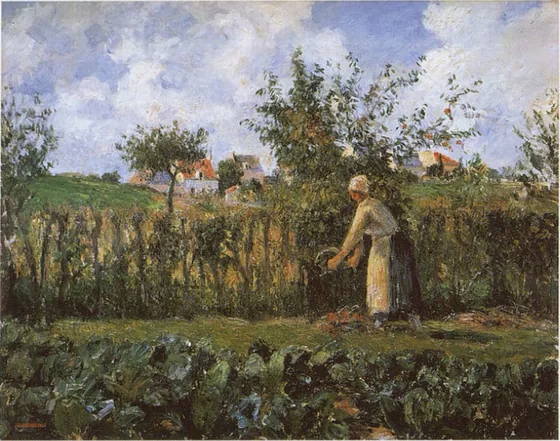 Dans le jardin potager