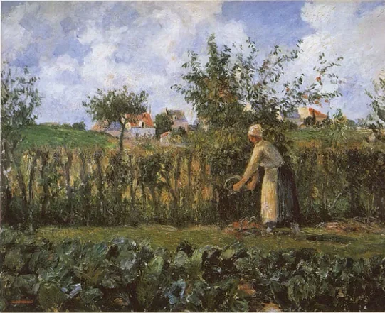 Dans le jardin potager