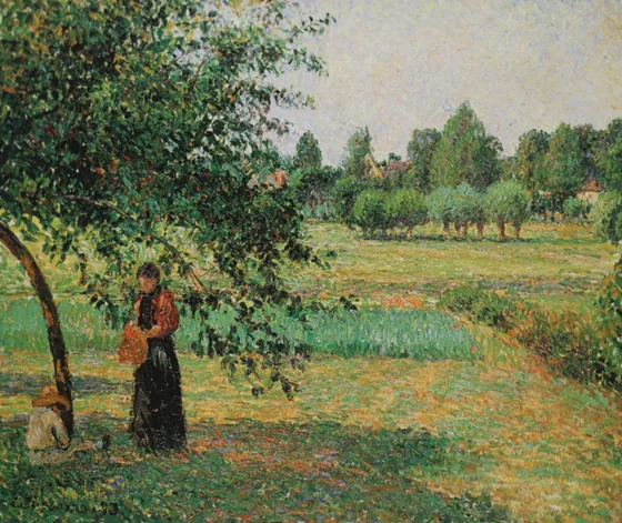 Dans le pré