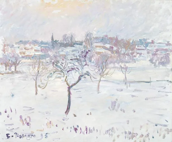 Effet de neige à Éragny, avec un pommier