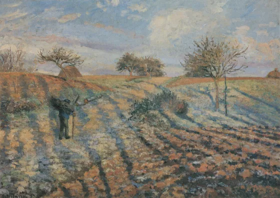 Gelée blanche