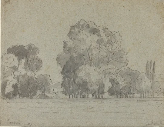 Grove of Trees