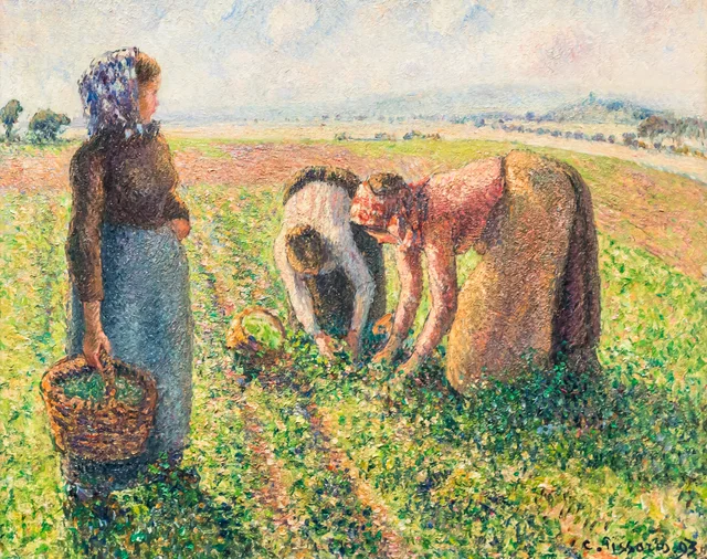 La recogida de guisantes, Éragny