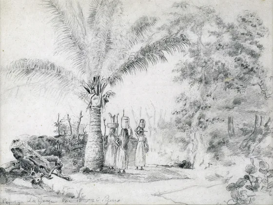 La Guaira