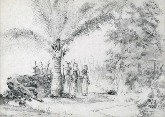 La Guaira