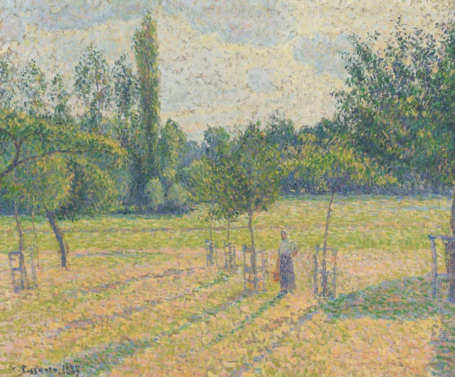 Final de la tarde en nuestro prado