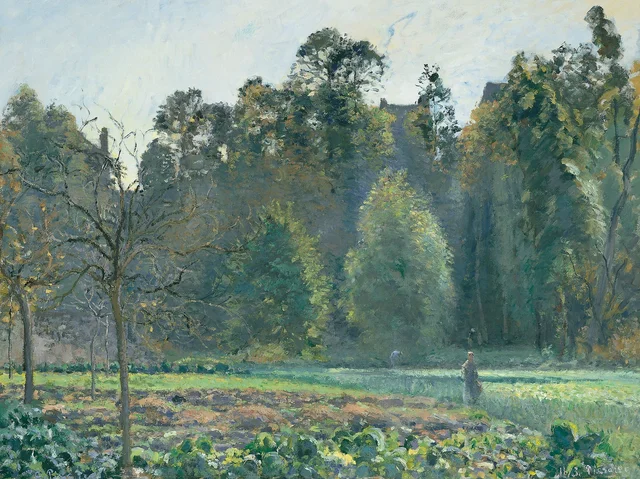 El campo de coles, Pontoise