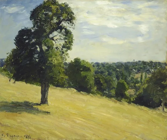 Le Grand Poirier à Montfoucault