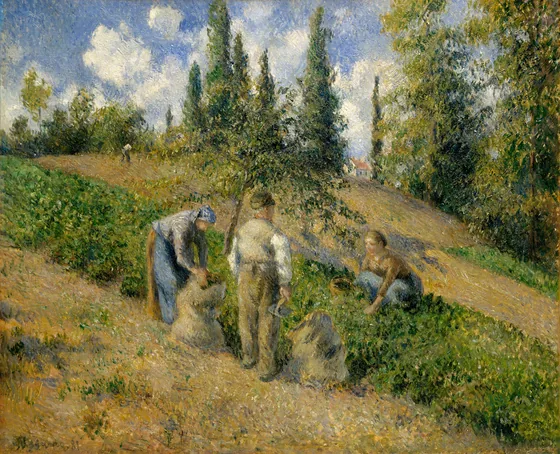 Le Récolte, Pontoise