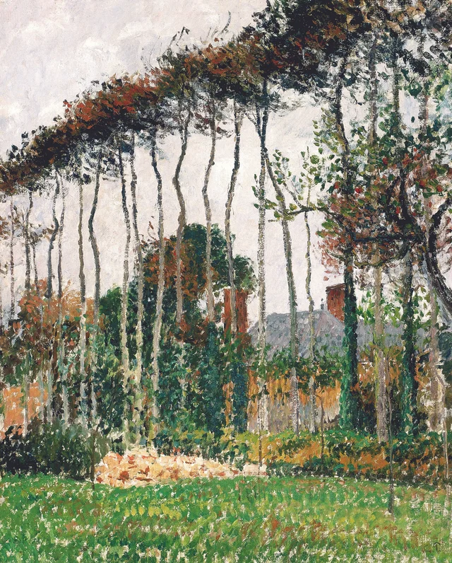 Las grandes hayas en Varengeville, Camille Pissarro