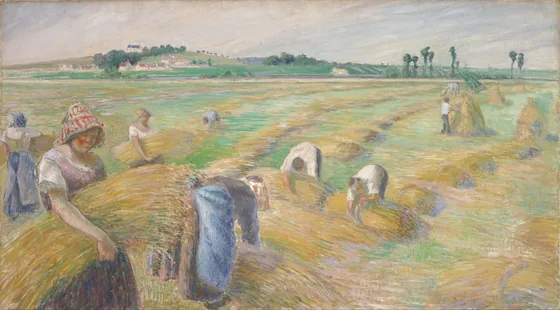 Moisson